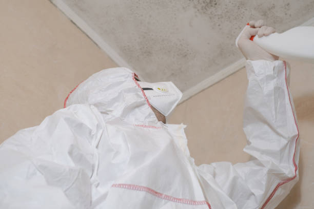 Best Health and Safety Mold Remediation in Fairbank, IA
